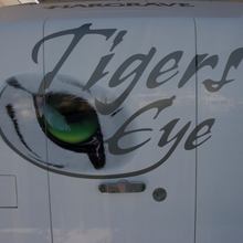Tigers Eye Yacht 