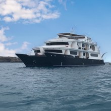 Petrel Yacht 