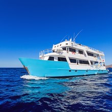 Pinguino Explorer Yacht 