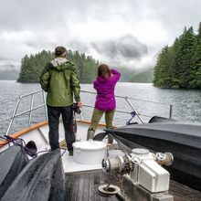 Glacier Bear Yacht 