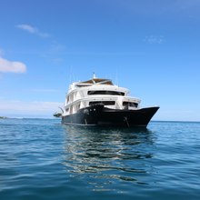 Petrel Yacht 