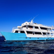 Pinguino Explorer Yacht 