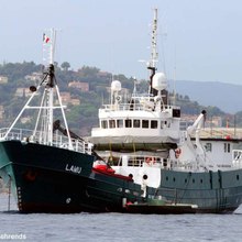 Krebs Research Yacht 