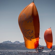 Firebird Yacht 