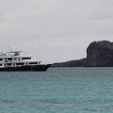 Petrel Yacht 