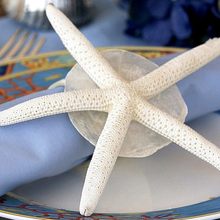 Elegant 007 Yacht Detail - Napkins