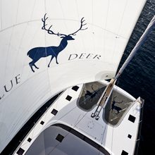 Blue Deer Yacht 