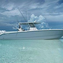 Rogue Yacht 