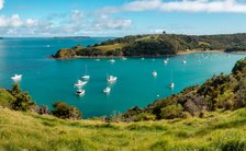 Entry Guidelines Refreshed For New Zealand Yacht Charters
