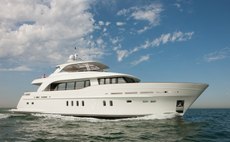 Firefly running shot                                                