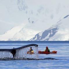 Antarctica photo 47
