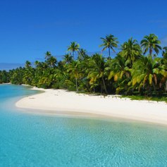 Natural and tropical coastline with sandy beach and green forest