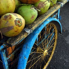 Wooden - painted blue vendor's vehicle with coconuts