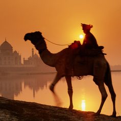 Man riding on camel