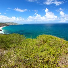 St Kitts and Nevis photo 12