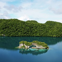 Palau Islands photo 5