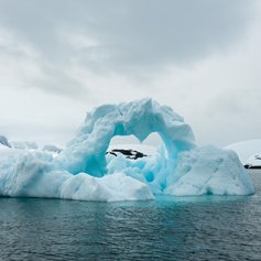 Antarctica photo 35