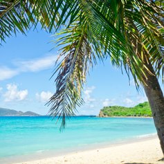 British Virgin Islands photo 67