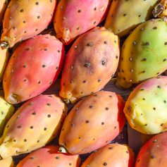 Exotic, colourful fruits