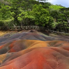 Colourful soil in front of the fenced forest 