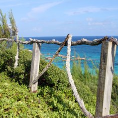 Bermuda Ocean View