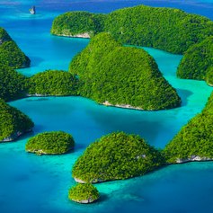Palau Islands photo 25