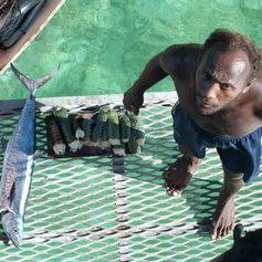 Local fisherman selling fresh fish in the  Solomon Islands