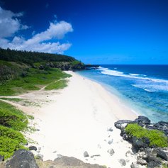 Beautiful white sand tropical beach