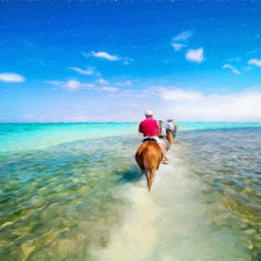 Cayman Islands photo 24