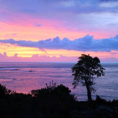 Vanuatu photo 30