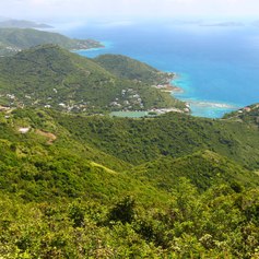 Tortola photo 23