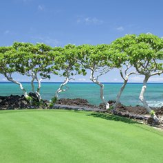 Hawaii photo 7