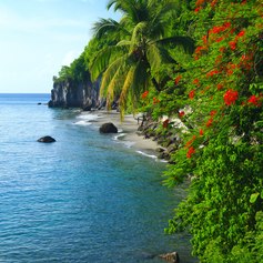 Martinique photo 13