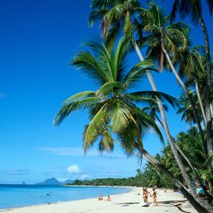 Touristic Martinique Beach