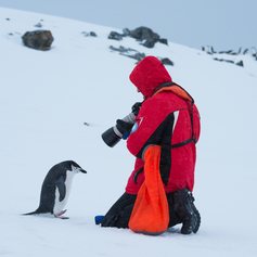 Antarctica photo 64