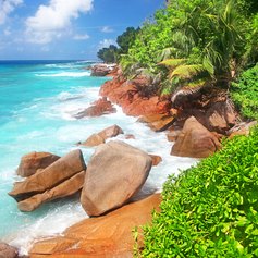 Sit Back and Admire the Beauty Of the Seychelles