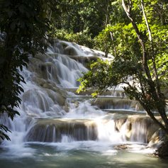Amazing waterfalls in Jamaican rainforest 