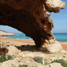 Socotra photo 28