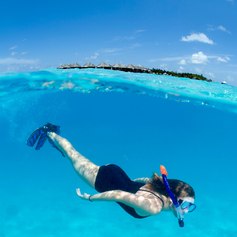 Have a Diving Adventure in the Maldives