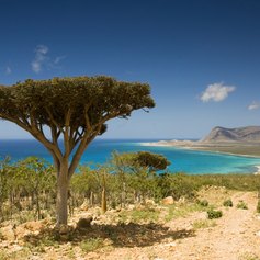 Socotra photo 6