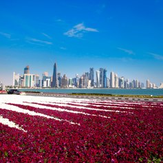 Qatar photo 19