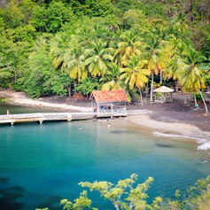 Martinique photo 31