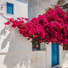 Saronic Islands photo 49