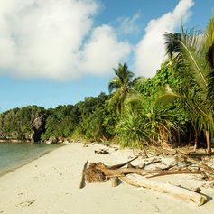 Neglected tropical beach