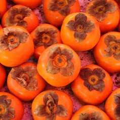 Picture of persimmon fruit on the market stall