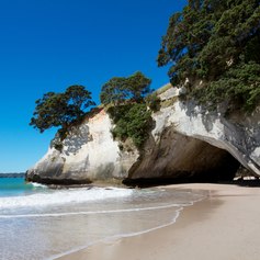 Travel to Cathedral Cove in the Coromandel Peninsula 