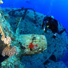 Diver with a shipwreck