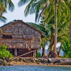 Traditional Solomon Islands hut