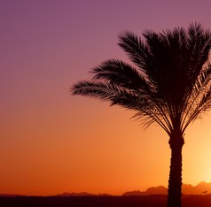 Africa Winter Cruising Region