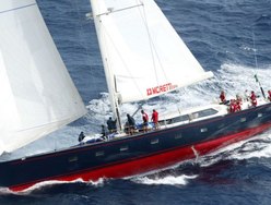 Viriella photo 1